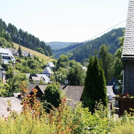 Large Holiday Home In Willingen With Private Garden And Several Terraces Экстерьер фото