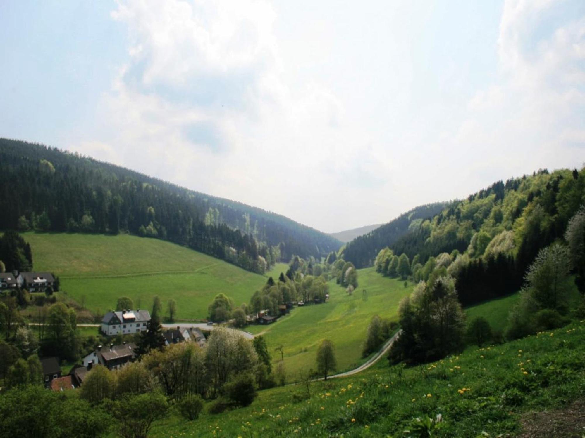 Large Holiday Home In Willingen With Private Garden And Several Terraces Экстерьер фото