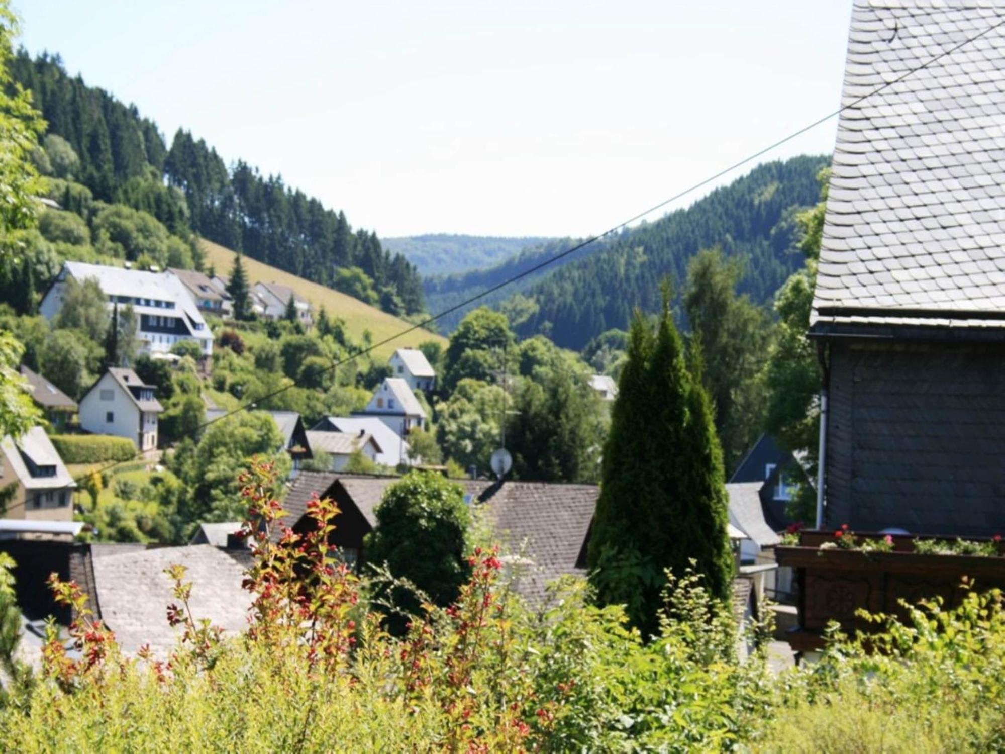 Large Holiday Home In Willingen With Private Garden And Several Terraces Экстерьер фото