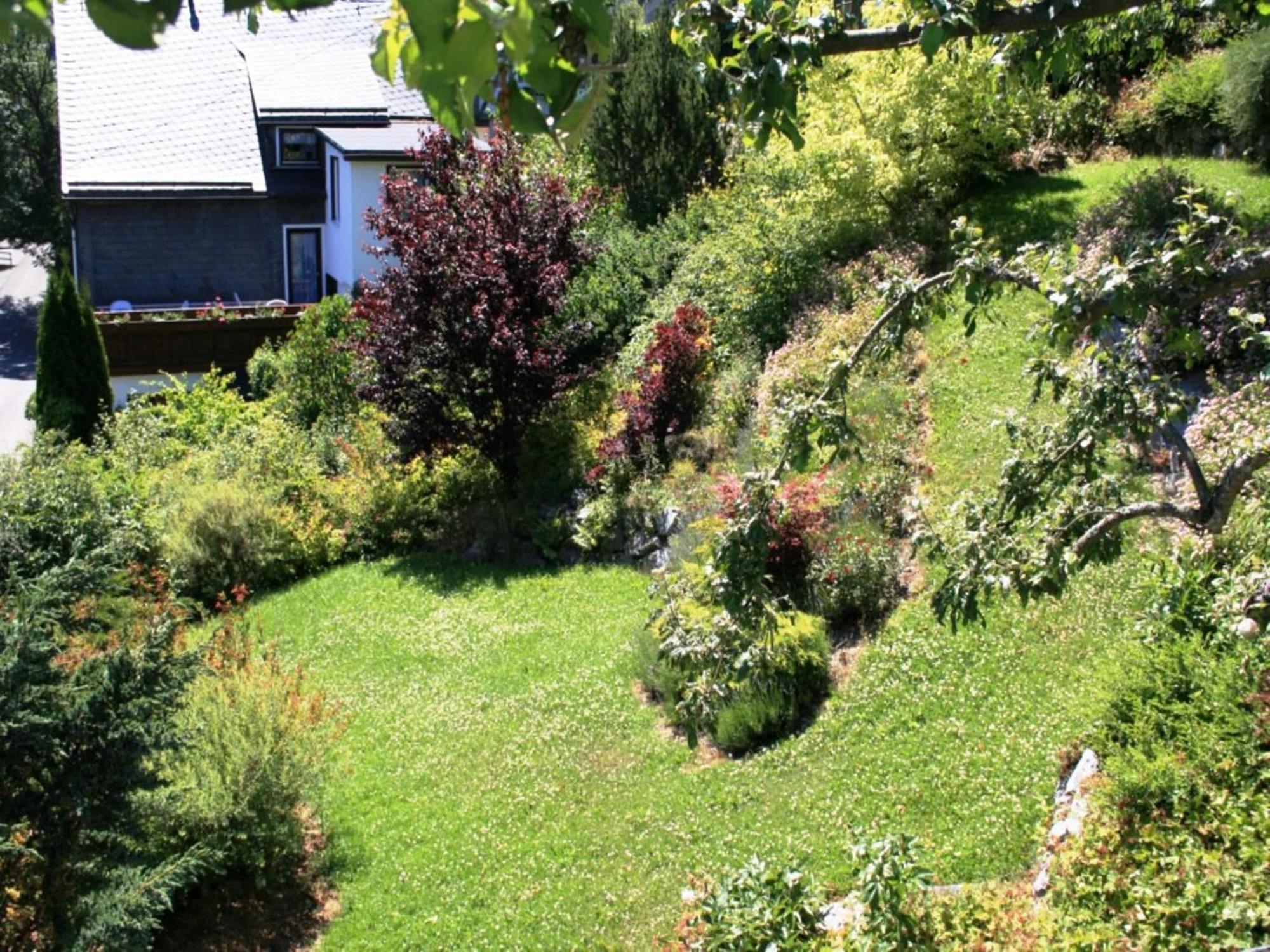 Large Holiday Home In Willingen With Private Garden And Several Terraces Экстерьер фото