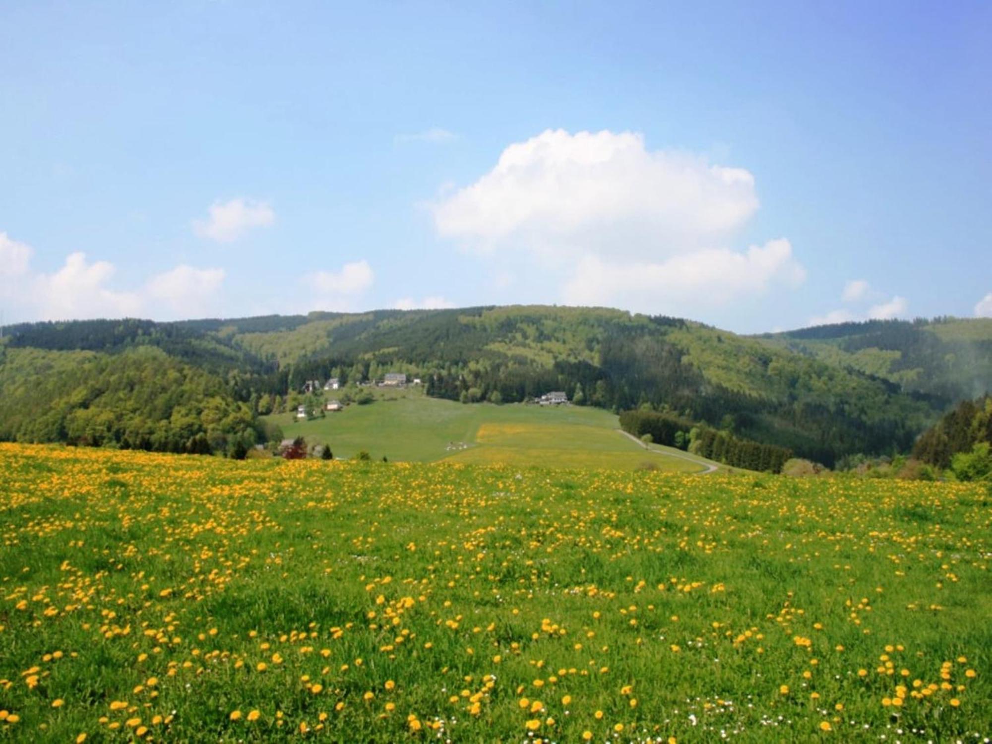 Large Holiday Home In Willingen With Private Garden And Several Terraces Экстерьер фото