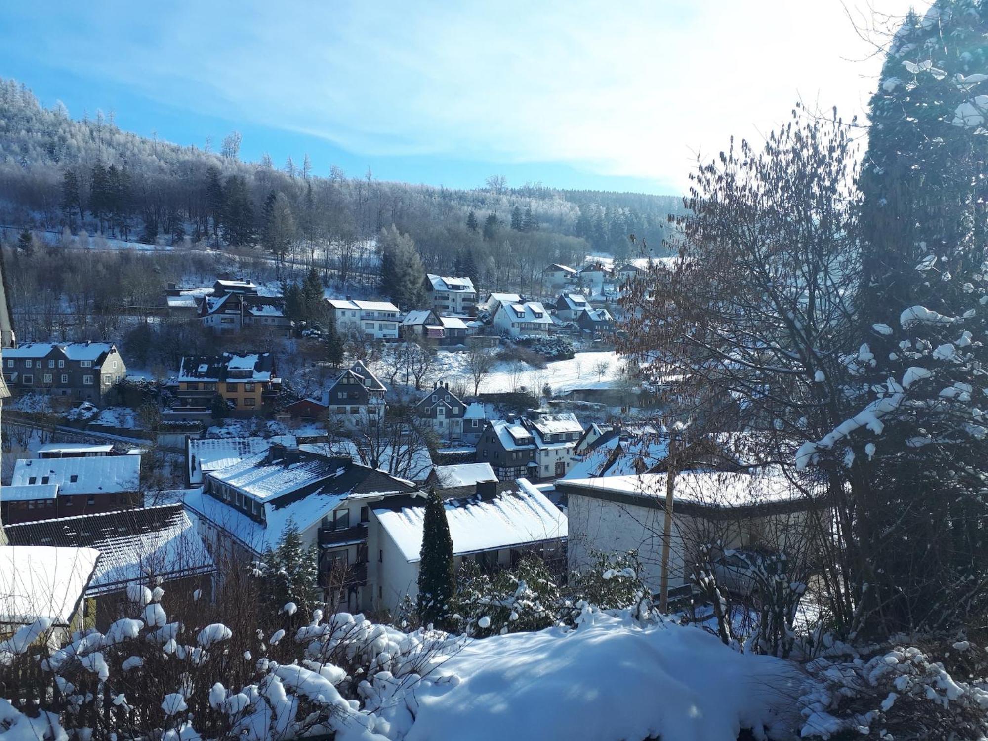 Large Holiday Home In Willingen With Private Garden And Several Terraces Экстерьер фото