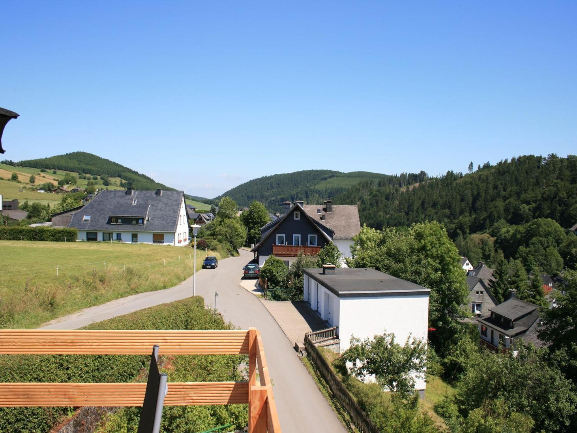 Large Holiday Home In Willingen With Private Garden And Several Terraces Экстерьер фото
