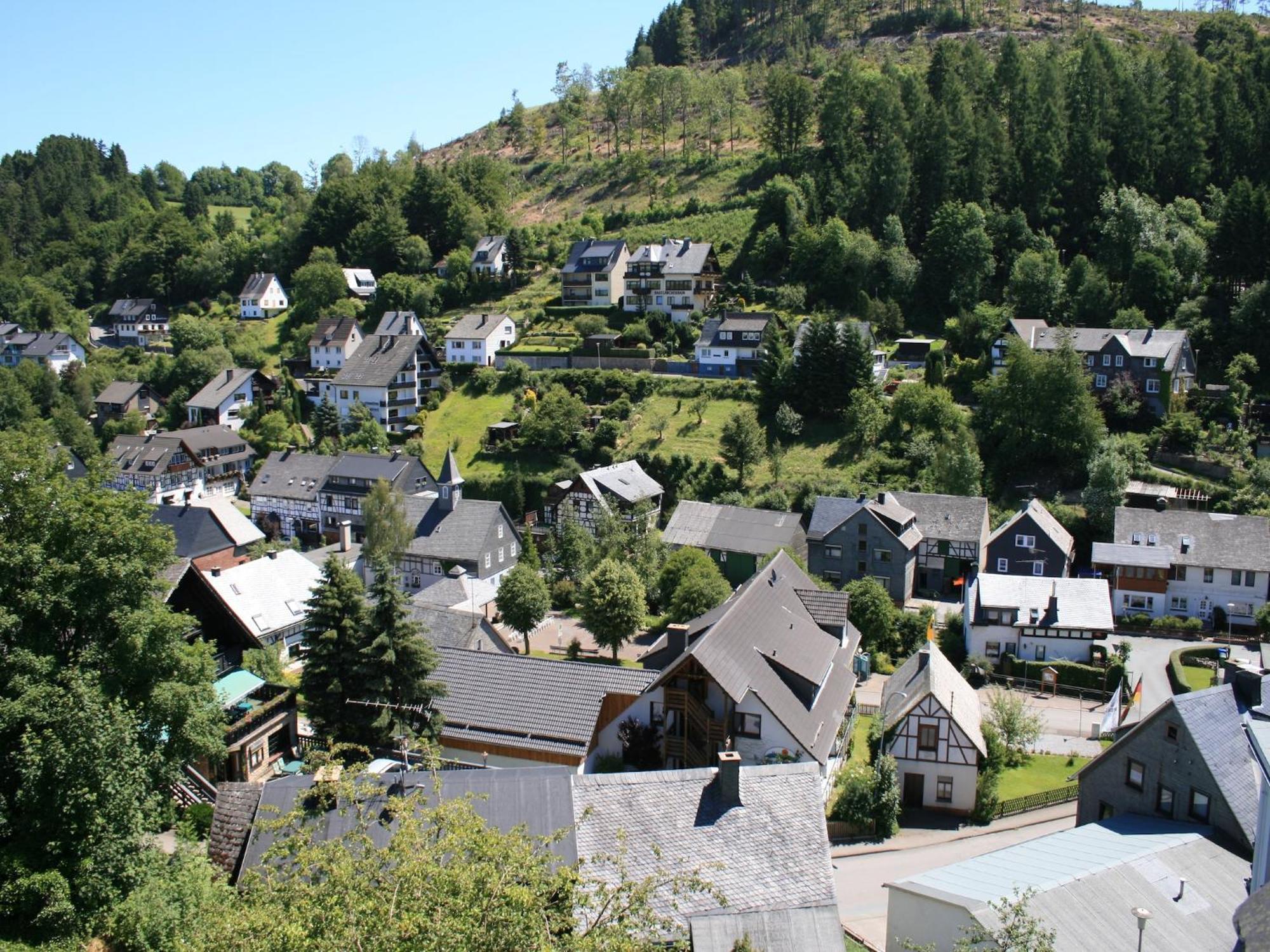 Large Holiday Home In Willingen With Private Garden And Several Terraces Экстерьер фото